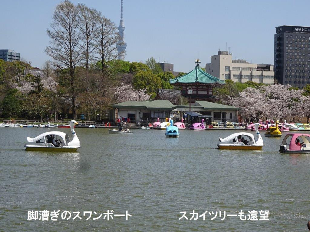 東京の風景など 新しい歴史教科書をつくる会 東京支部の活動