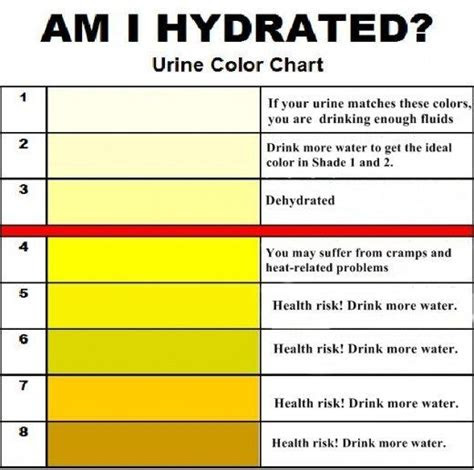  urine color chart and meaning in 2020 color of urine nursing