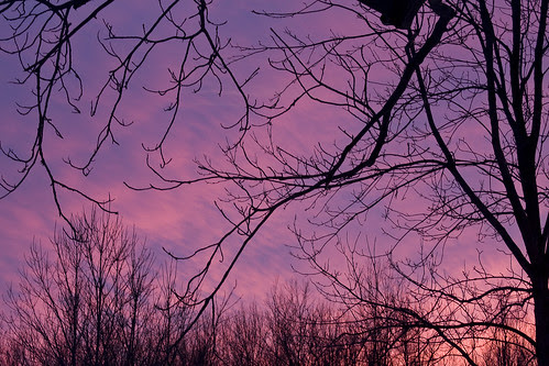 Tonight's Sunset #3