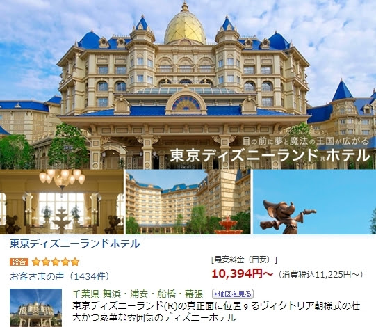 ディズニーランド 持ち物リスト 子連れ編 あると便利 夏旅行 雨の日準備