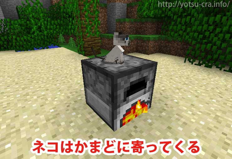マインクラフト 猫の見た目全種類まとめ 村から連れて帰ろう