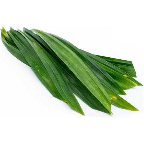 daun pandan dalam bahasa inggeris