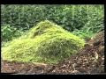 BIGGA Video Series: Golf Course Ecology