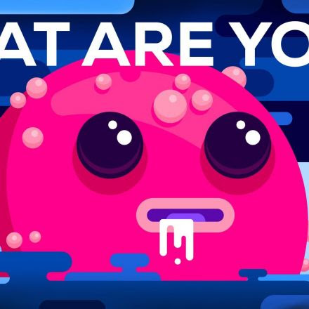 What Are You?