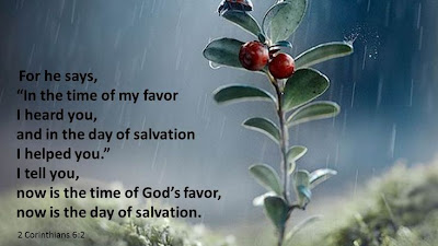 How Many Times Is Salvation Mentioned in the New Testament