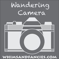 Camera And Photography Linky Party