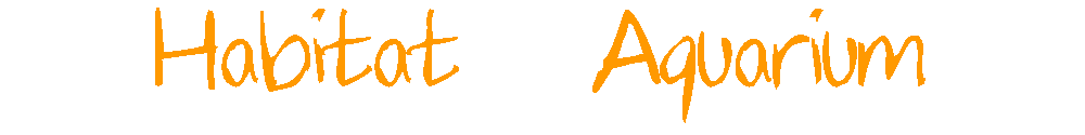 HA - A Blog by Sougata Chakraborty