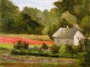 Poppy Fields