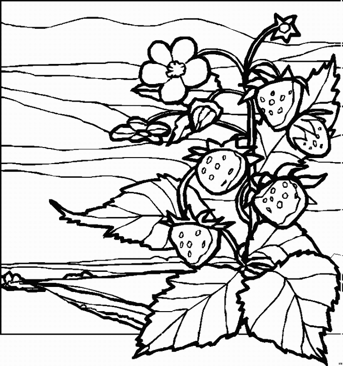 Download Landscape Coloring Pages For Adults - Coloring Home