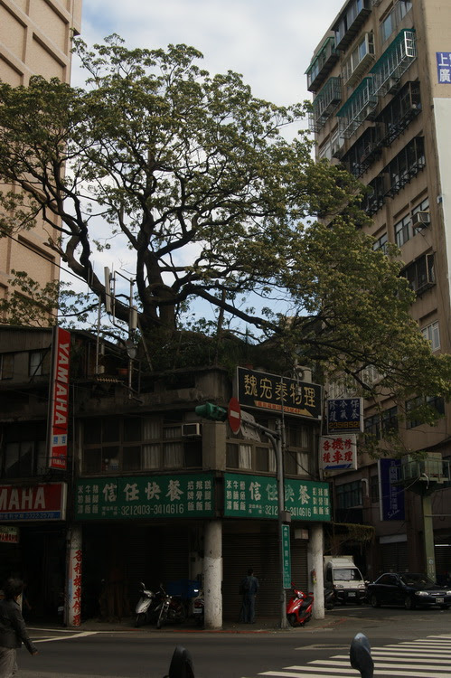 DSC00911.JPG