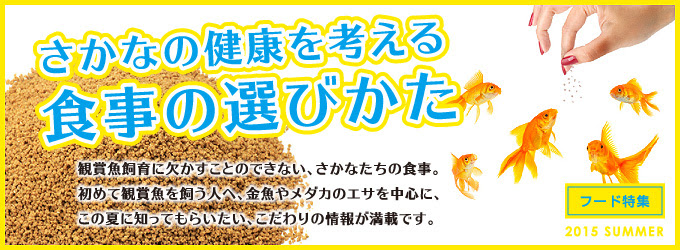 プロに聞く エサやりのコツ さかなの健康を考える食事の選びかた 熱帯魚のことなら みずものコム