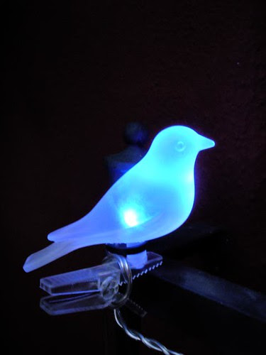 The blue bird of happiness is