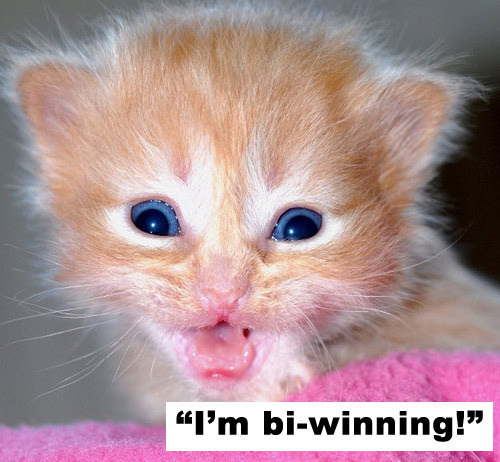 winning charlie sheen quotes. Cats Quote Charlie Sheen