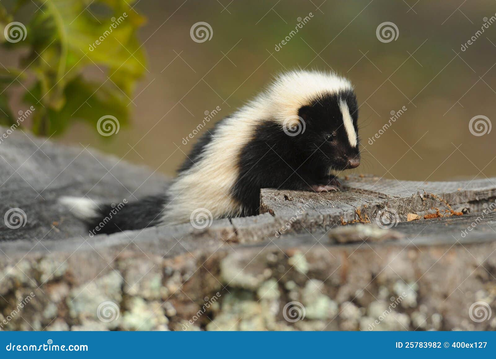 o negative blood kind weight loss plan md health