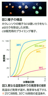 種子と発芽について ブログ E 種や 国内最大級の野菜種 花種 苗 農業資材の販売店