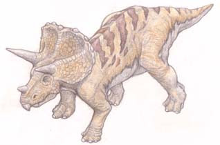 小ネタ３ 上のイラストはトリケラトプス今より１億５千万年 ６０００万年位前まで地球上に生息していた恐竜です 割とメジャーなほうなので皆さんもご覧になったことがあるでしょう いきなり恐竜の絵を見せてもよくわかんないかもしれません