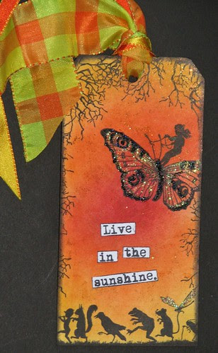 3C - Sunshine Tag