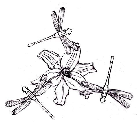  free printable dragonfly coloring pages for kids