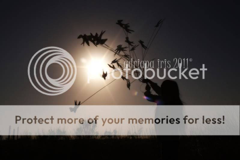 adrianairis La Dulce Vida