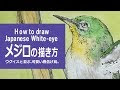 √1000以上 メジロ イラスト 簡単 313277-メジロ イラスト 簡単