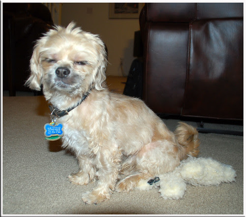 Bilbo-Pose