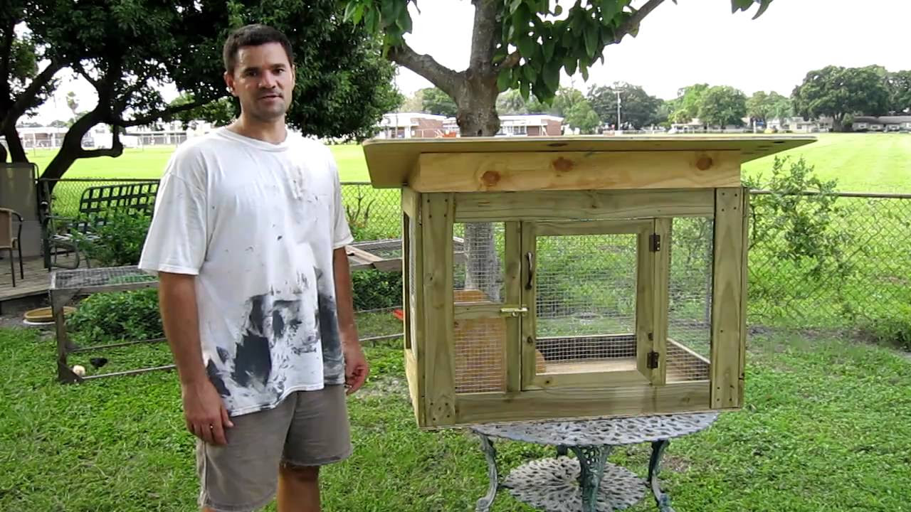 Small Chicken Coop - YouTube