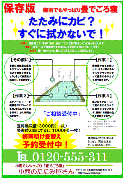 かびとダニ 畳 張替え 交換 兵庫 姫路 小西のたたみ屋さん