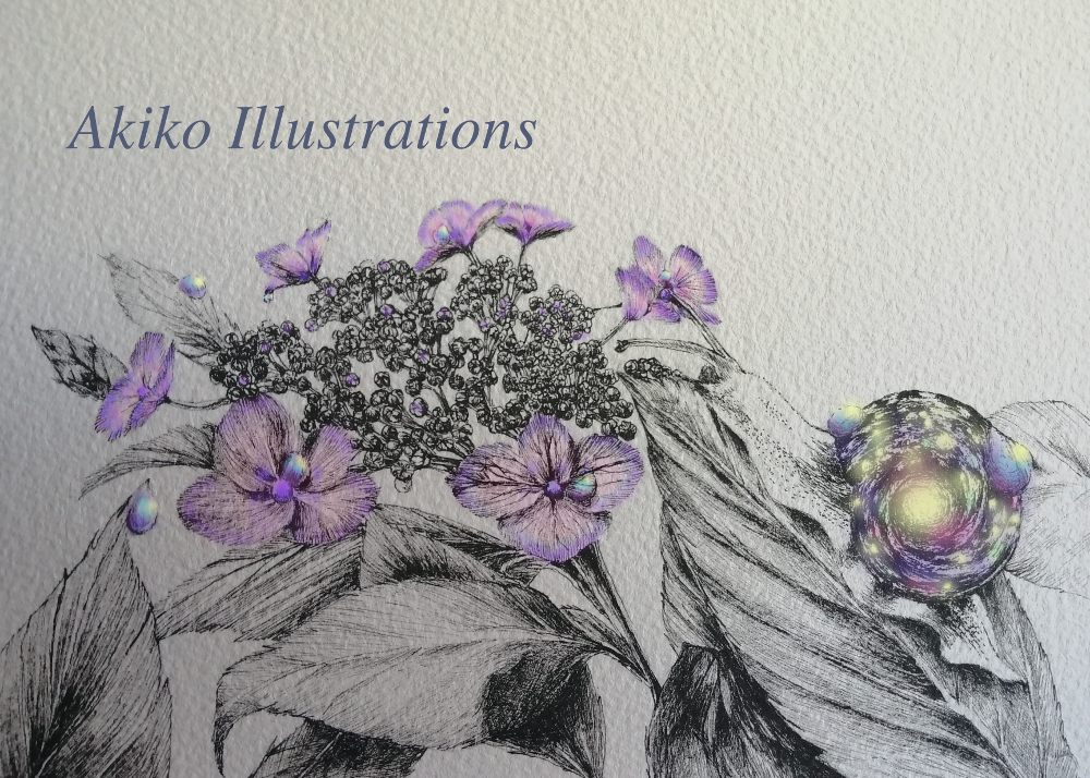 イラスト ペン画 銀河とかたつむり Akiko Illustrations
