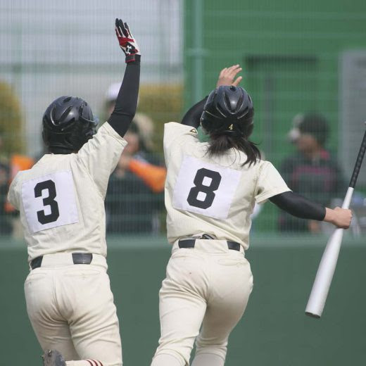 全国高等学校女子硬式野球連盟 Japan Highschool Girls Baseball Fed