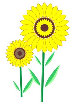Bunga Matahari Animasi Clipart Best Bunga Matahari Animasi Clipart Best