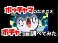[新しいコレクション] ポケモン 鳴き声 アニメ 249720-ポケモン ヒトデマン 鳴き声 アニメ