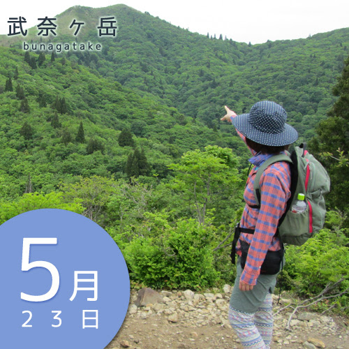 山ガール と呼ばれて 春 夏 4月 8月