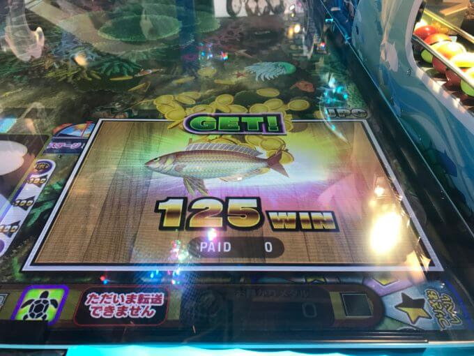 メダルゲーム攻略 レッ釣りｇｏ どいぶろ