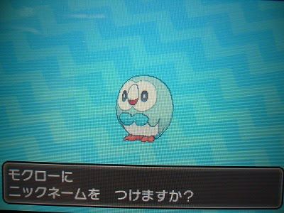 よもぎの色ポケコレクションブログ 色違いポケモン リセット