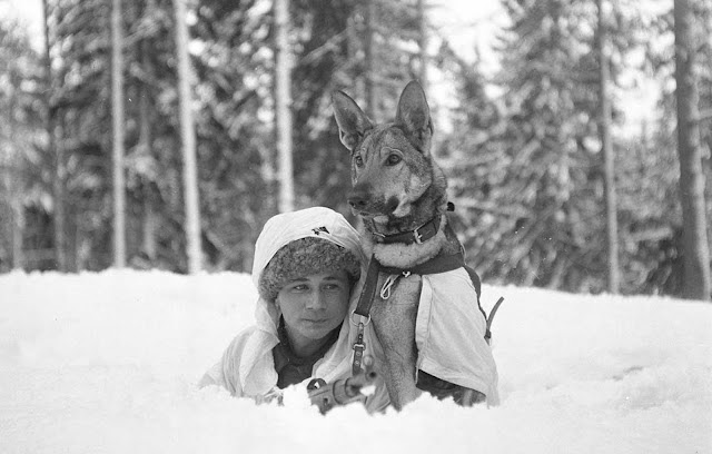 At the Hämeenlinna war dog school.