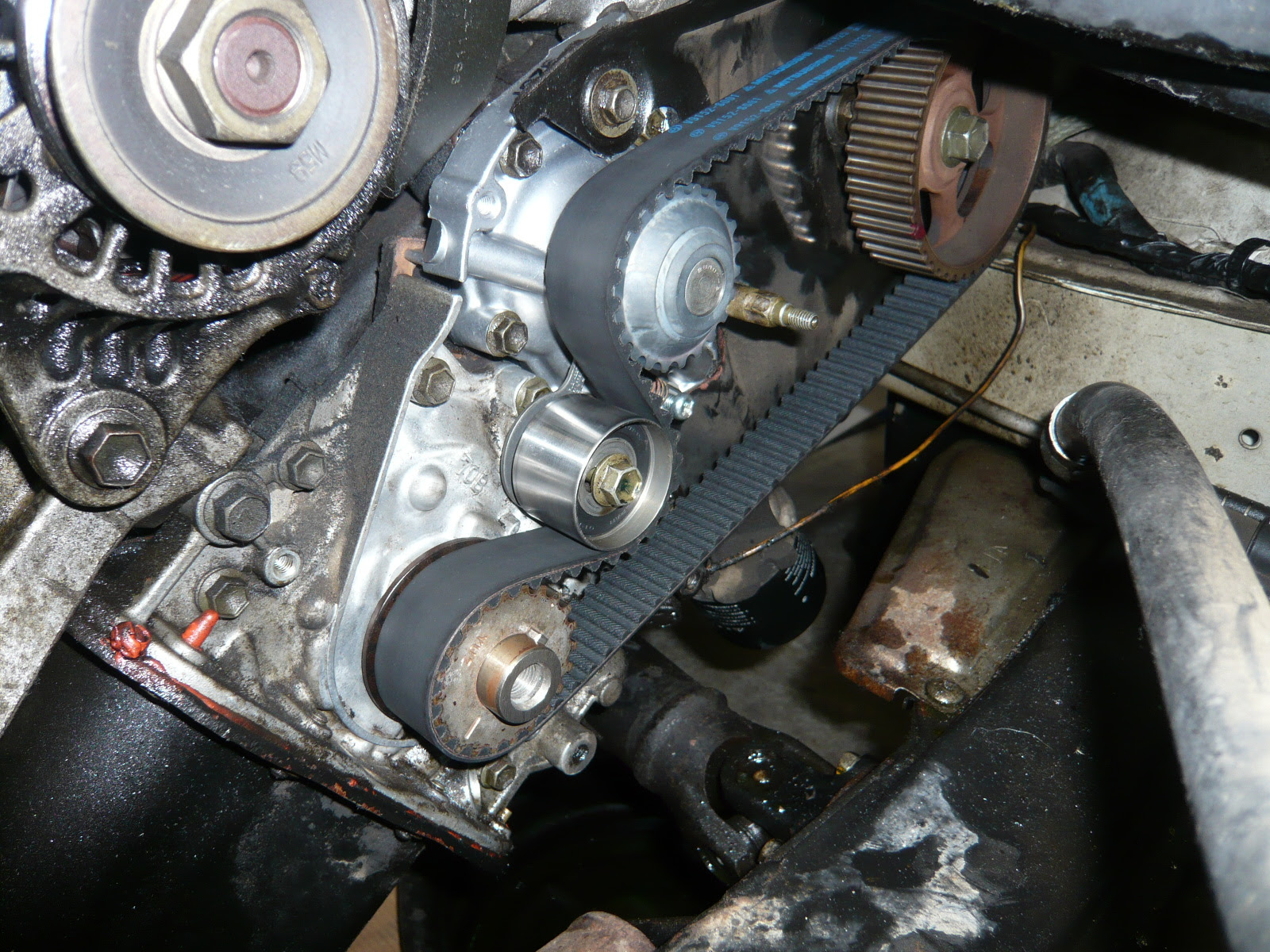 吐く 体細胞 ありふれた 車 ベルト Uscommunityleadership Org