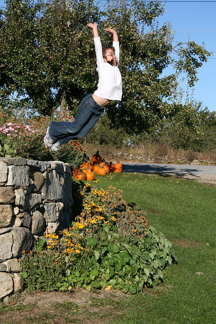 Dova jumping
