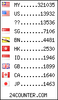 visitors by country counter