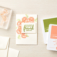 Just Getting Started Bundle