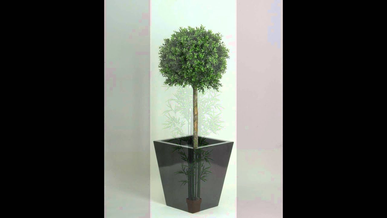 Catalogo Piante Finte Artificiali - per Interni o Esterni - parte 1 - YouTube