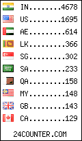 visitors by country counter