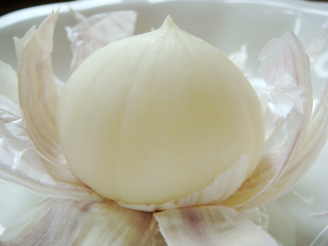ぷちにんにく 一片種にんにく の特徴 旬の時期まとめ 分球しない香りの穏やかなにんにく お役立ち 季節の耳より情報局