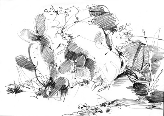 Rock 'N Cactus Drawing Demo. Stunningly rugged scenery and great weather 