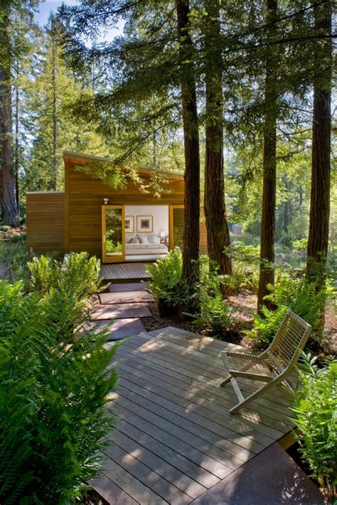 ein modernes haus im wald mit grosser fensterfront