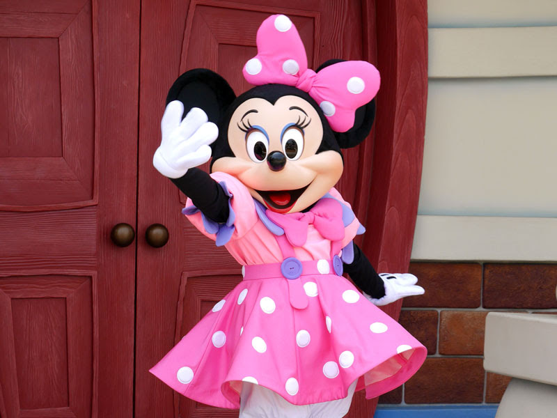 問題提起 ディズニーに正義はあるのか ミニーさんトゥーングリ編 ろじねこ生活