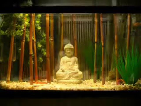 Awesome Betta Fish Tank Setups - YouTube