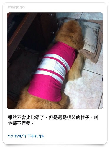 無標題