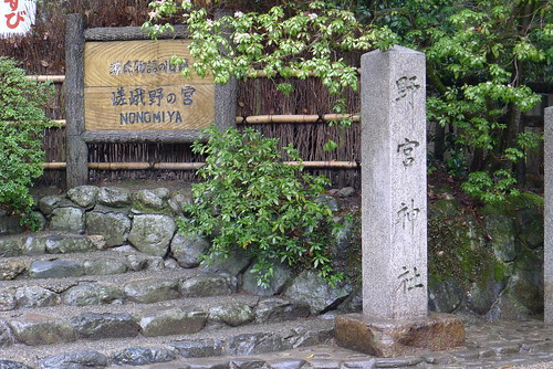 P1000704