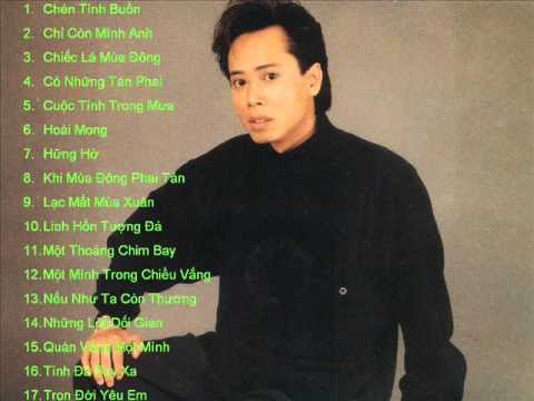 Những bài hát hay nhất của ca sĩ hải ngoại Anh Tú