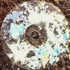 Abandoned CDs